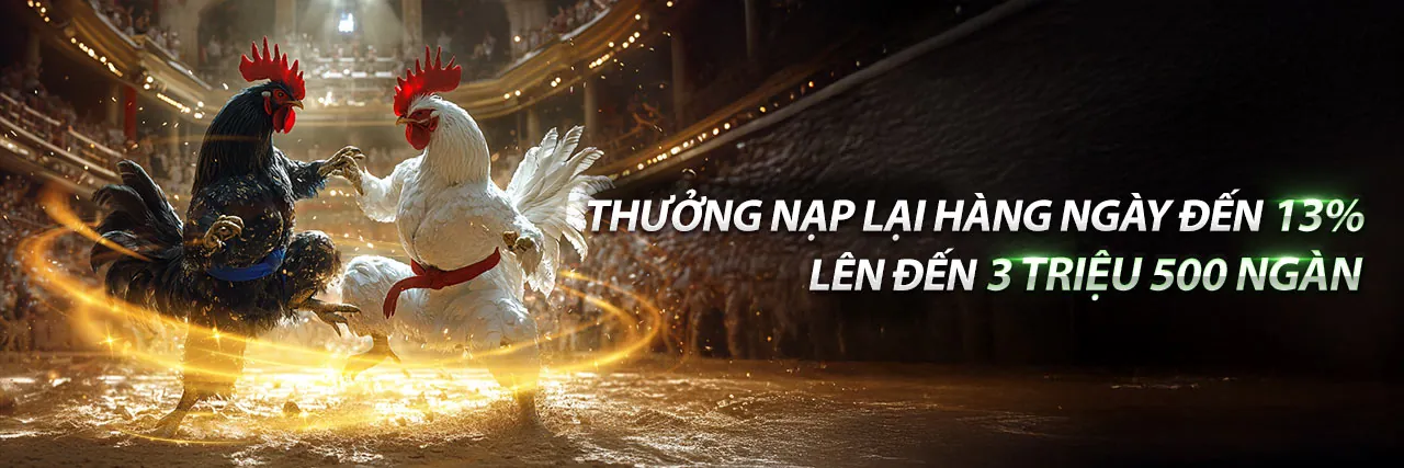 Các loại hình khuyến mãi đa dạng từ Big777 nhà cái